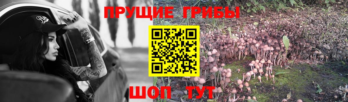 Галлюциногенные грибы MAGIC MUSHROOMS Воскресенск