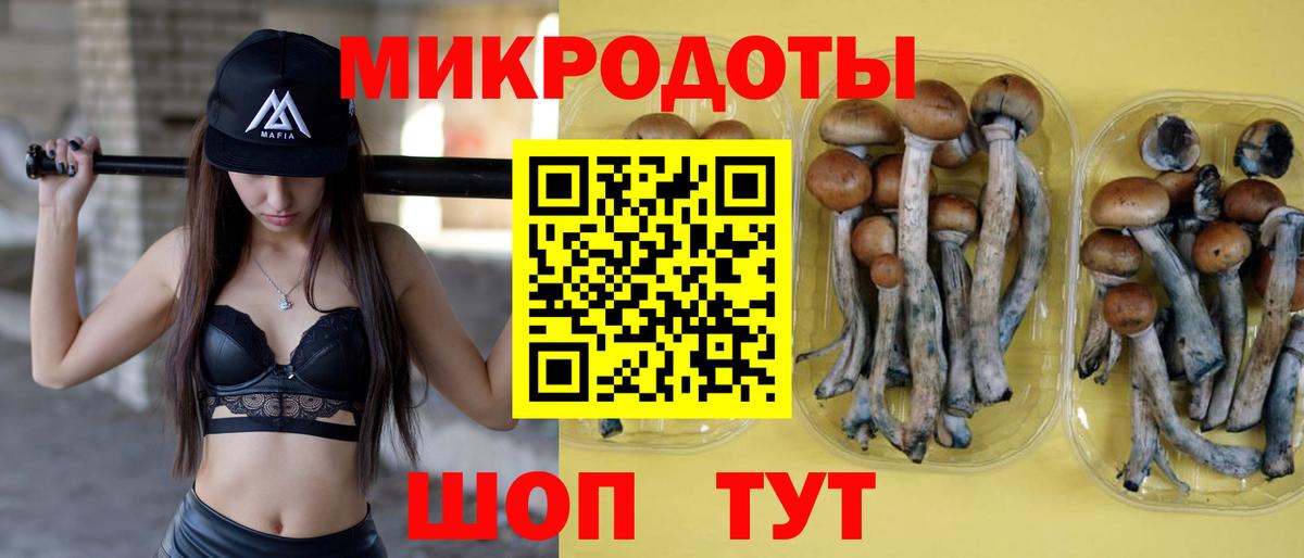 где можно купить наркотик  Псилоцибиновые грибы мухоморы  Вход с VPN  Воскресенск 